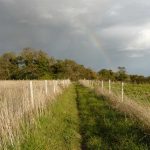 sentier libre