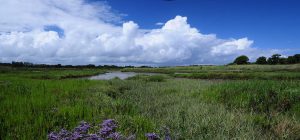 Panoramique reserve