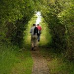 Sentier