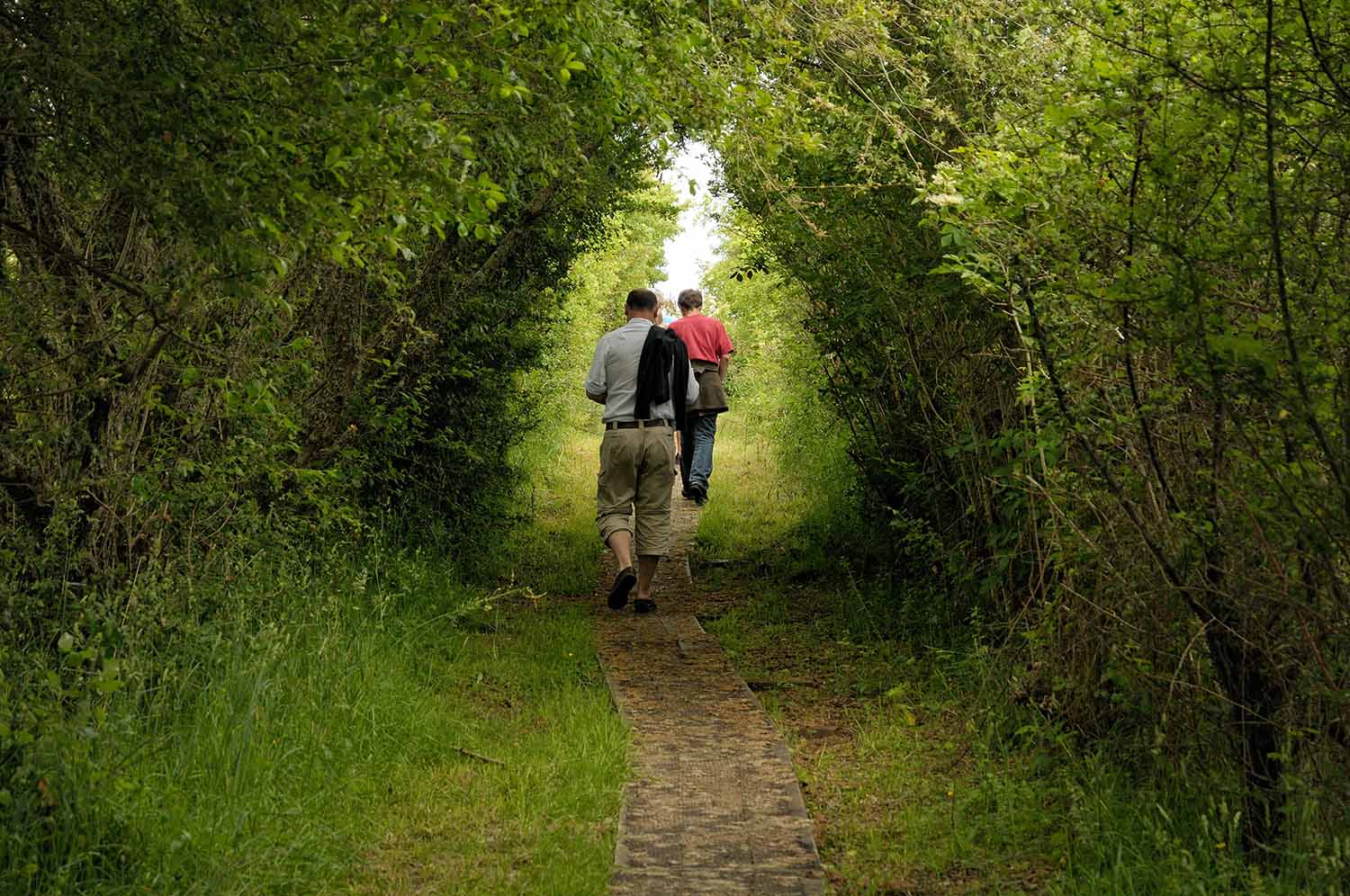 Sentier